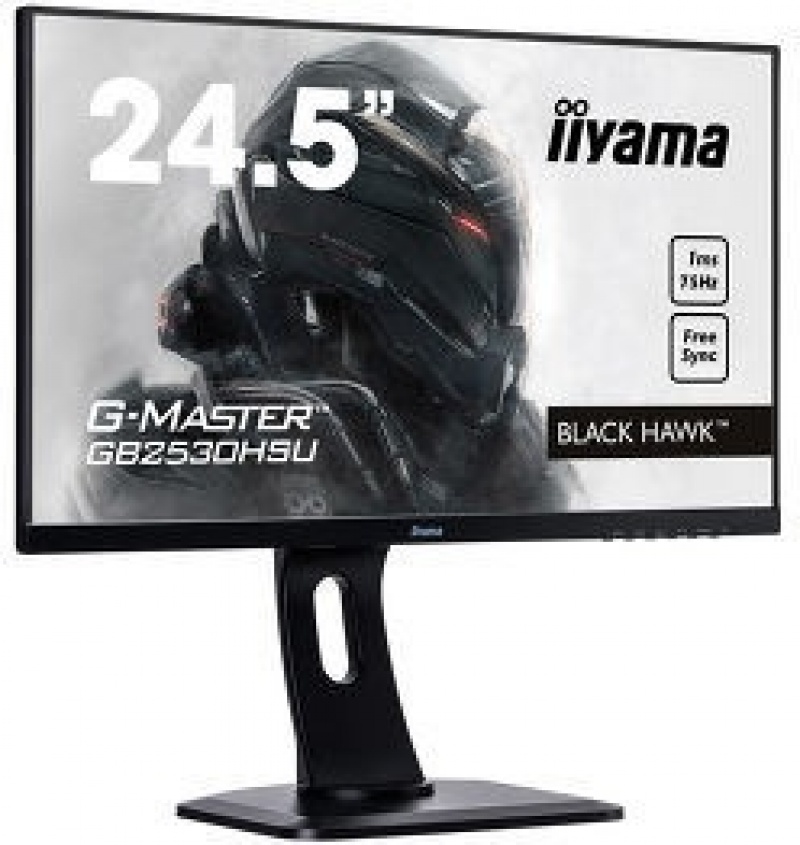 iiyama G-MASTER GB2530HSU-B1 24.5 inch  Full HD LED Mat Zwart