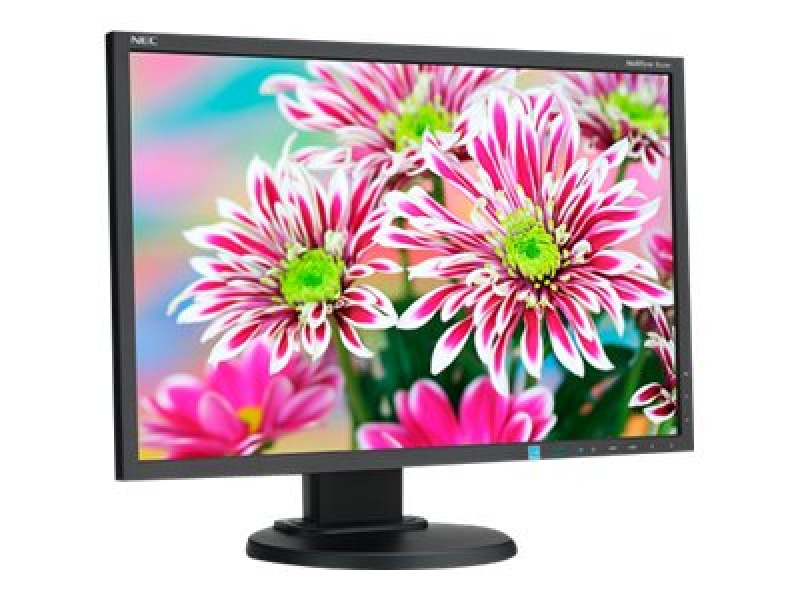 NEC 22 inch monitor refurbished [Refurbished] 