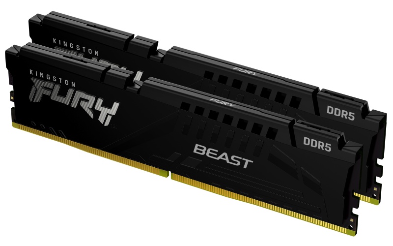 Kingston Technology FURY Beast 16GB 5600MT / s DDR5 CL40 DIMM (set van 2) Black