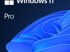 Microsoft Windows 11 Professional 64-bit OEM