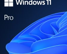 Microsoft Windows 11 Professional 64-bit OEM