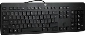 HP USB Keyboard (Qwerty US)