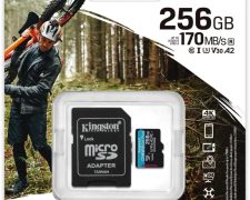 Kingston Canvas Go! Plus microSDXC 256GB + SD-adapter